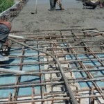 810620295_113588 [0]