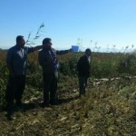 812226391_107694 [0]