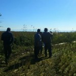 812229940_107429 [0]