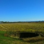 812321135_107076 [0]