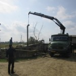 IMG_0100(1) [800x600]