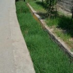 photo_2015-09-14_21-57-30 [0]