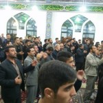 photo_2015-11-03_08-29-14 [0]