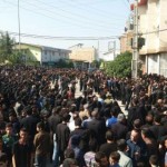 photo_2015-11-16_13-16-28