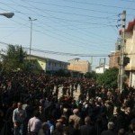 photo_2015-11-16_13-17-47