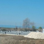 photo_2016-03-02_13-32-03