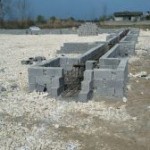 photo_2016-03-02_13-32-38