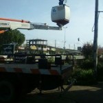 photo_2016-04-06_09-18-21