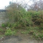 photo_2016-04-06_09-18-36