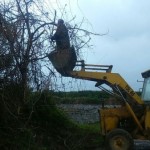 photo_2016-04-06_09-18-43