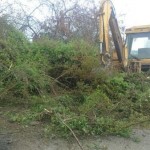 photo_2016-04-06_09-18-46