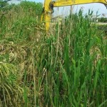 photo_2016-04-23_12-08-27