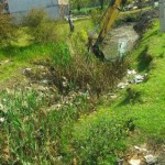 photo_2016-04-23_12-09-34