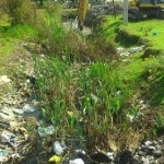 photo_2016-04-23_12-09-50