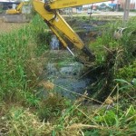 photo_2016-04-23_12-10-01