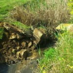 photo_2016-04-23_12-10-04