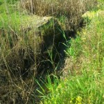 photo_2016-04-23_12-10-07