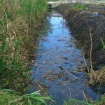 photo_2016-04-23_12-10-17