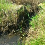 photo_2016-04-23_12-10-26