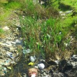 photo_2016-04-23_12-10-30