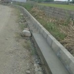 photo_2016-05-01_12-13-50