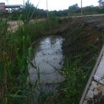 photo_2016-05-02_08-28-10