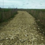 photo_2016-05-02_12-08-15