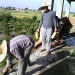 photo_2016-05-18_12-16-12