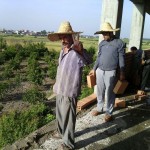 photo_2016-05-18_12-16-33