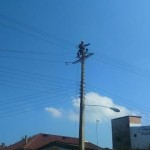 photo_2016-06-06_11-23-15