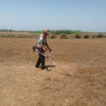 photo_2016-06-21_10-21-23