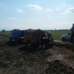 photo_2016-10-23_11-10-29