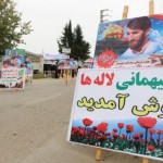 photo_2016-10-29_12-48-14