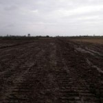 photo_2016-11-01_13-50-47